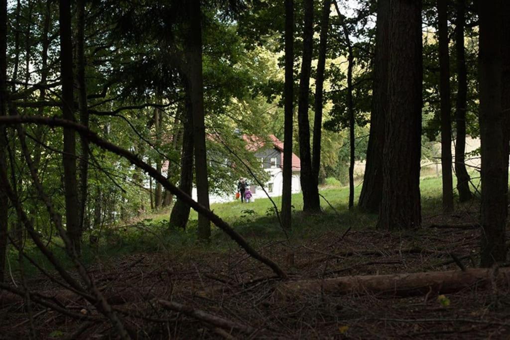 Wald-Apartment Limabach - Oberfrohna Zewnętrze zdjęcie