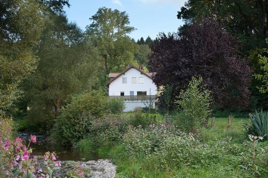 Wald-Apartment Limabach - Oberfrohna Zewnętrze zdjęcie