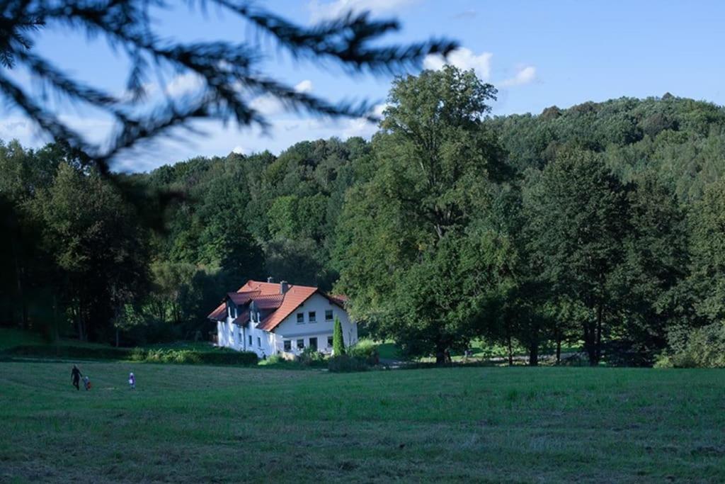 Wald-Apartment Limabach - Oberfrohna Zewnętrze zdjęcie