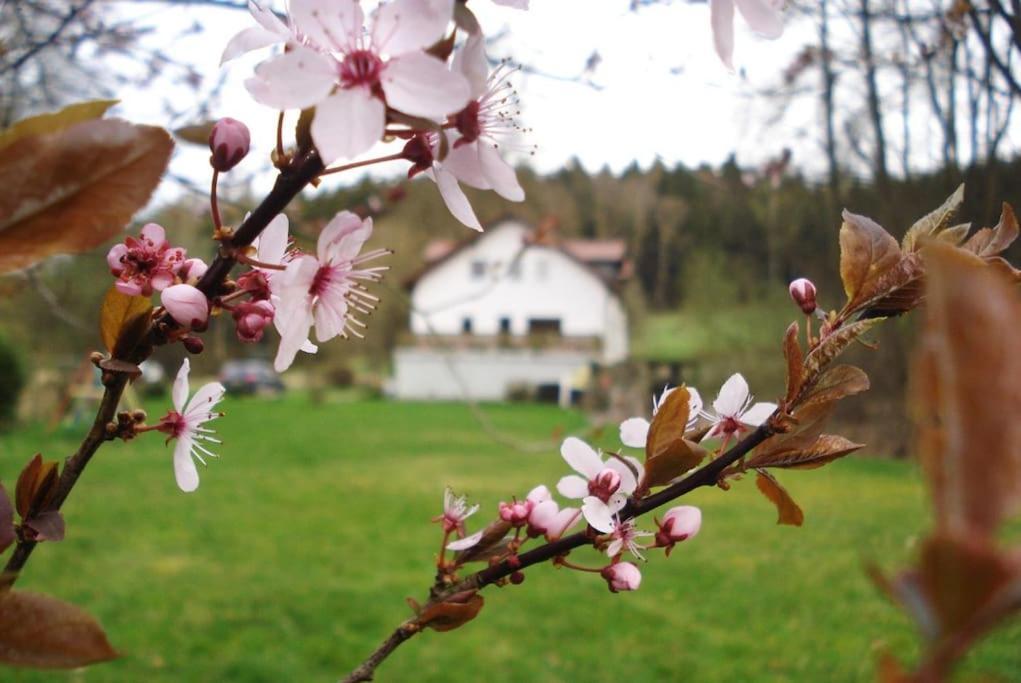 Wald-Apartment Limabach - Oberfrohna Zewnętrze zdjęcie