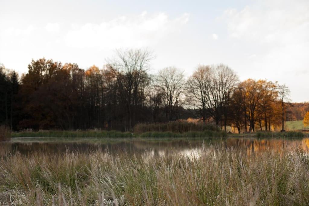 Wald-Apartment Limabach - Oberfrohna Zewnętrze zdjęcie