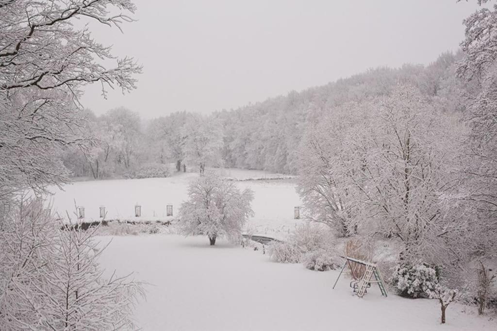 Wald-Apartment Limabach - Oberfrohna Zewnętrze zdjęcie
