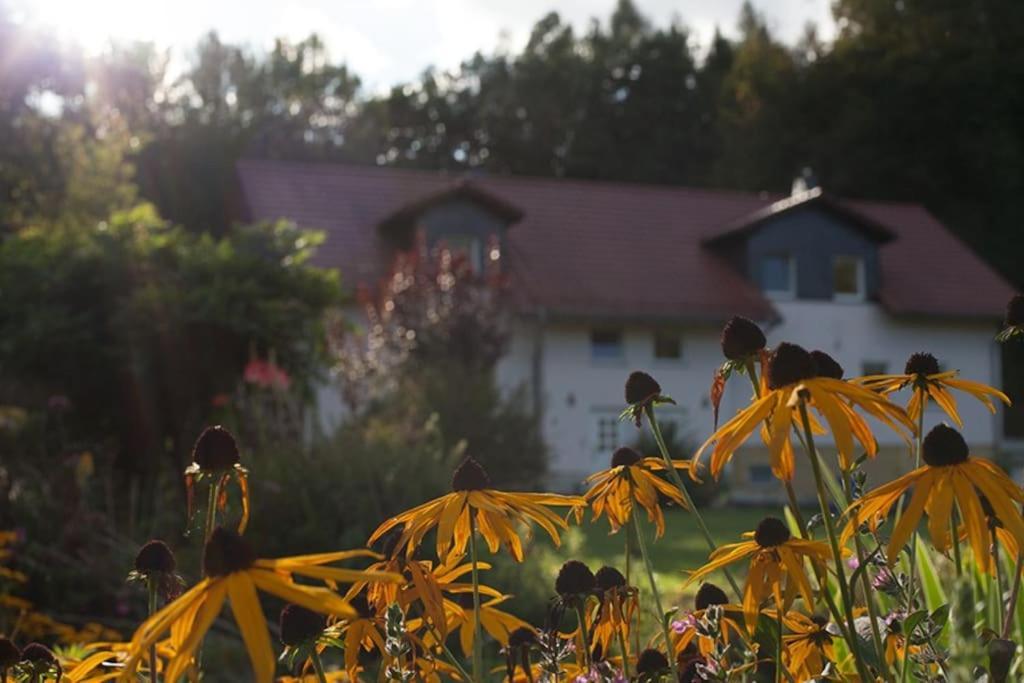 Wald-Apartment Limabach - Oberfrohna Zewnętrze zdjęcie