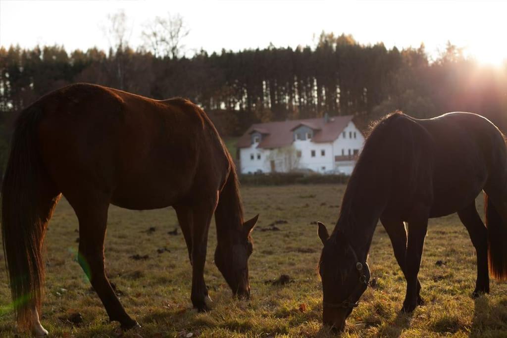 Wald-Apartment Limabach - Oberfrohna Zewnętrze zdjęcie