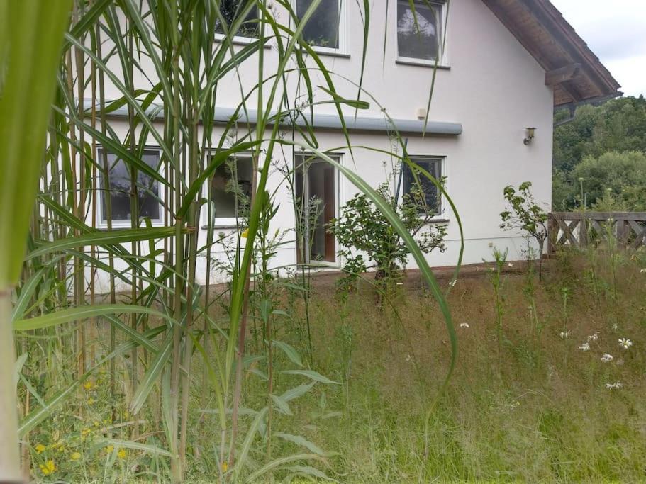 Wald-Apartment Limabach - Oberfrohna Zewnętrze zdjęcie