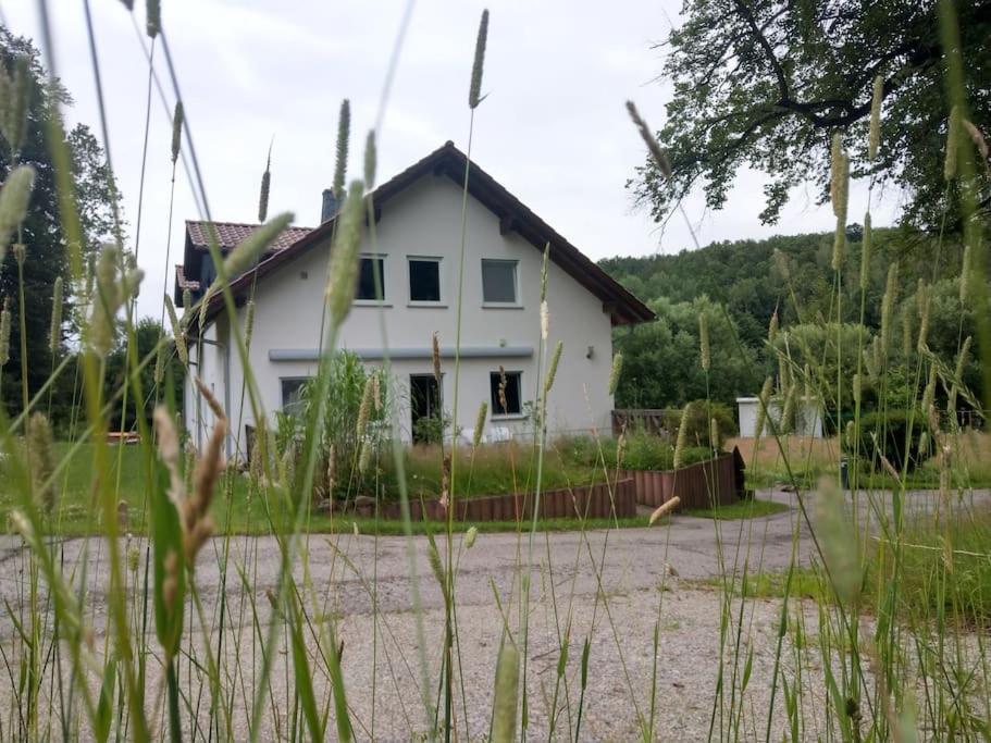 Wald-Apartment Limabach - Oberfrohna Zewnętrze zdjęcie