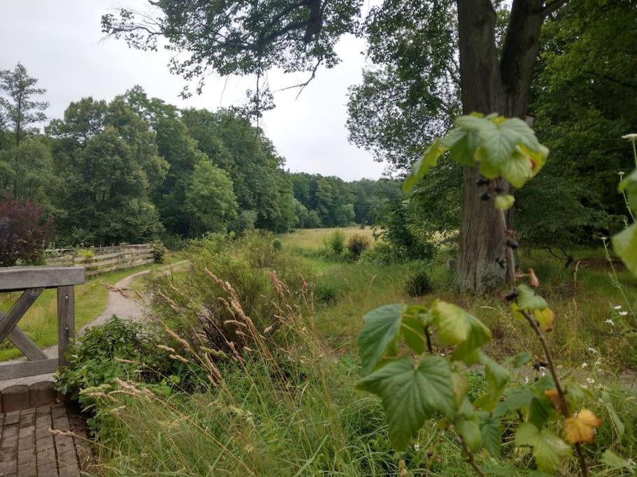Wald-Apartment Limabach - Oberfrohna Zewnętrze zdjęcie