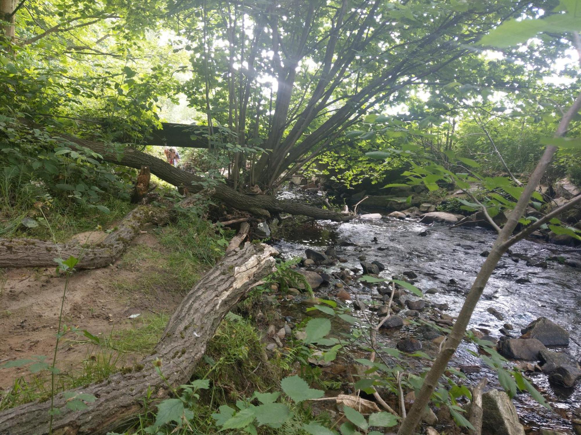 Wald-Apartment Limabach - Oberfrohna Zewnętrze zdjęcie
